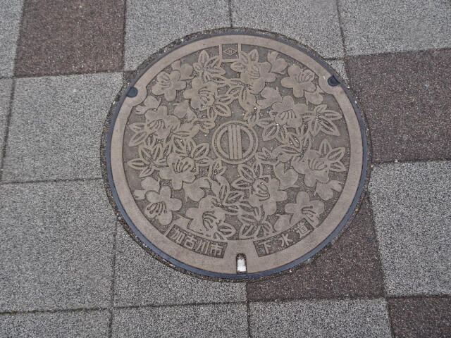 加古川市下水。ベージュのような色がついている。
