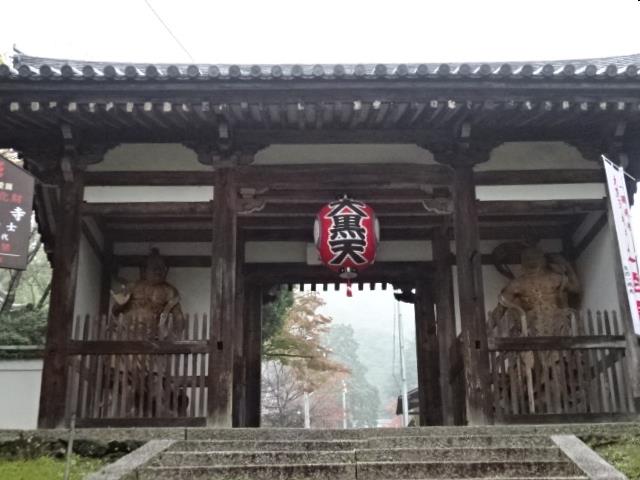 イメージ 14