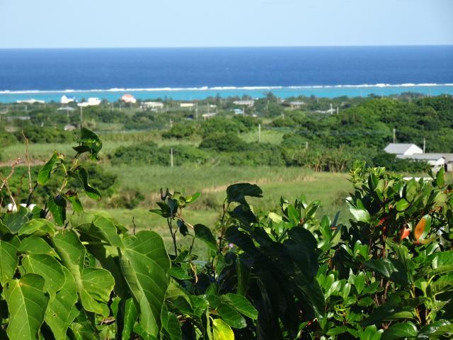 DSC07602
