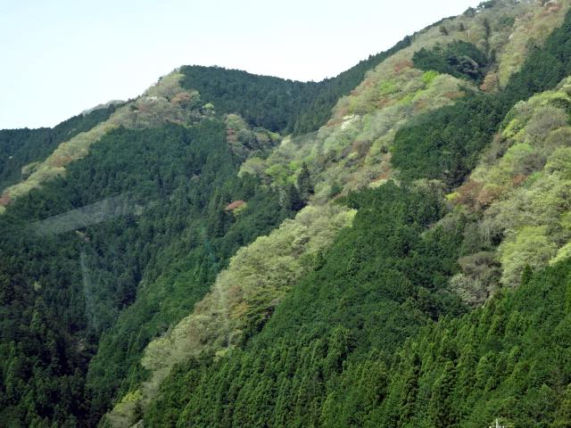 イメージ 2