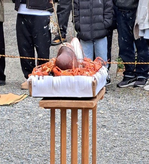 奉納された魚の頭やイセエビ