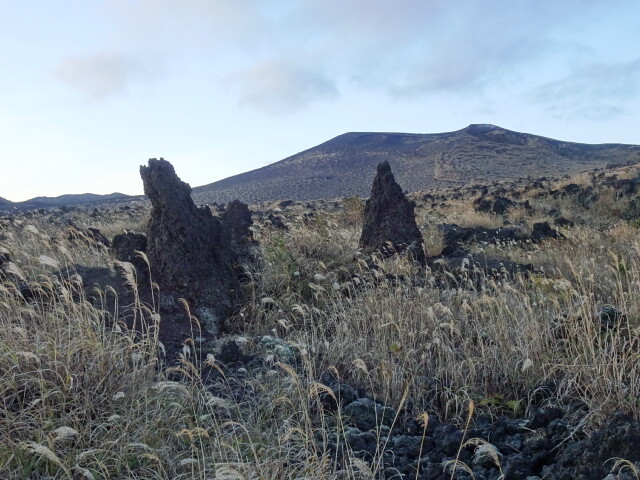溶岩の岩と三原山