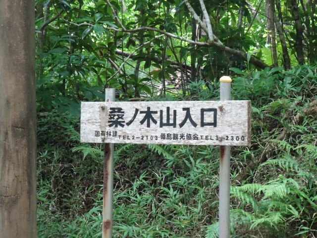 DSC04583