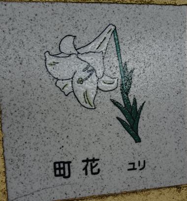 DSC01377