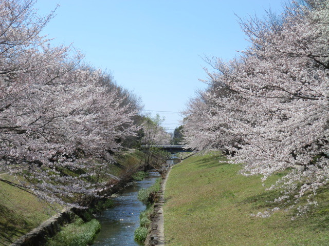 イメージ 8