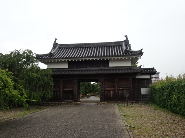 DSC03618