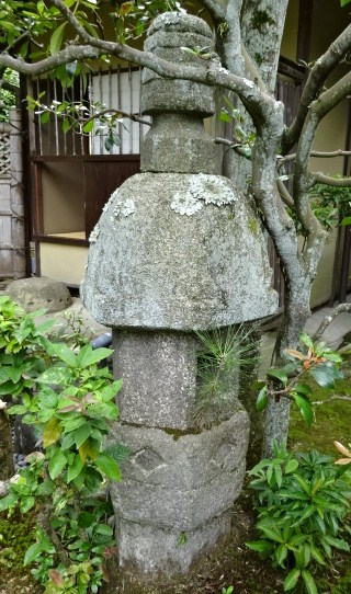 イメージ 13