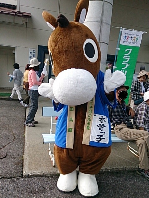 イメージ 8