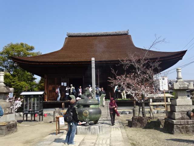 イメージ 5