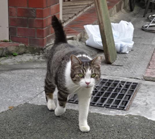 イメージ 6