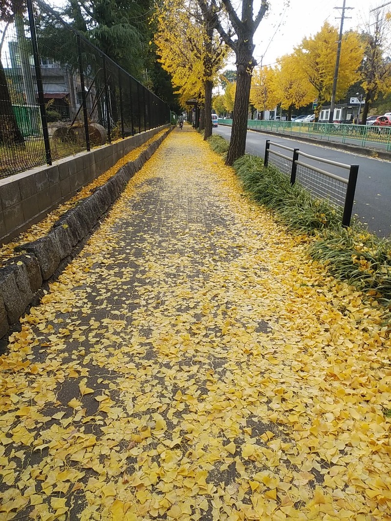 20201118084449_p