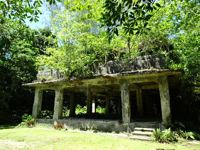 DSC03970