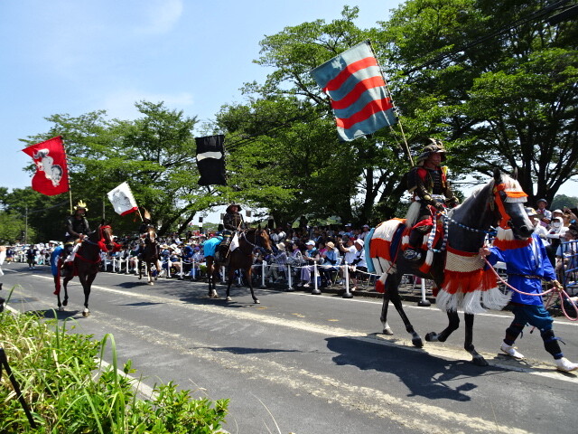 偉い人の馬は馬子さんがついている