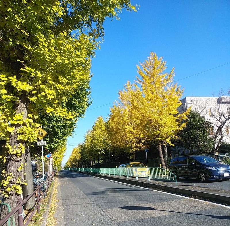 20201110091540_p