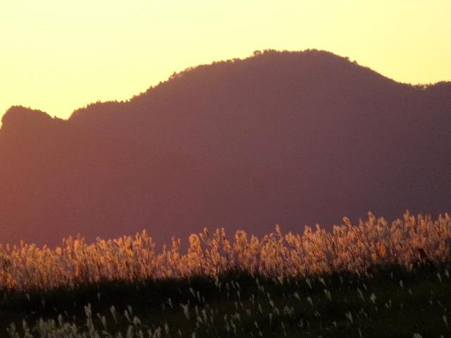 イメージ 14