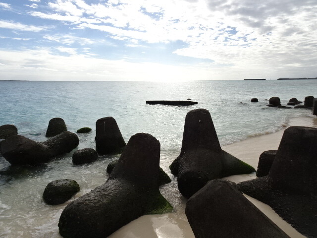 海ヒカル