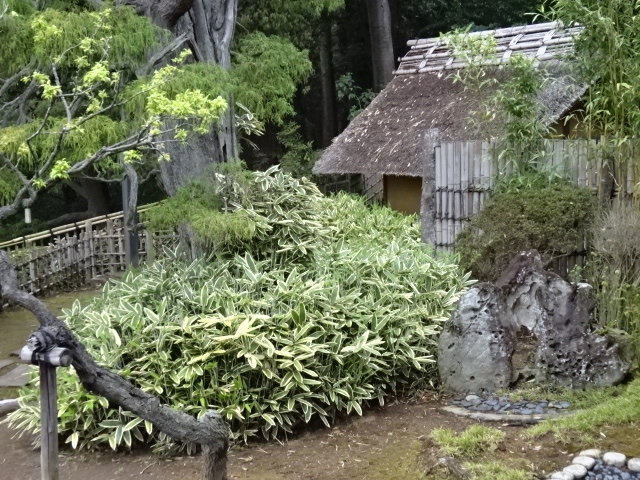 待合が見える