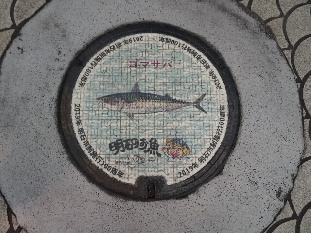 明石市。ゴマサバ