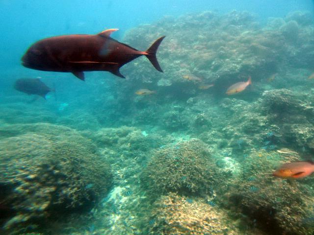 DSC01902