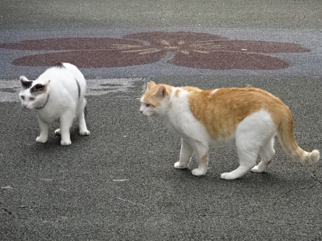 イメージ 3