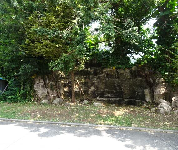 DSC04555