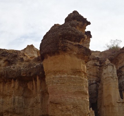 イメージ 9