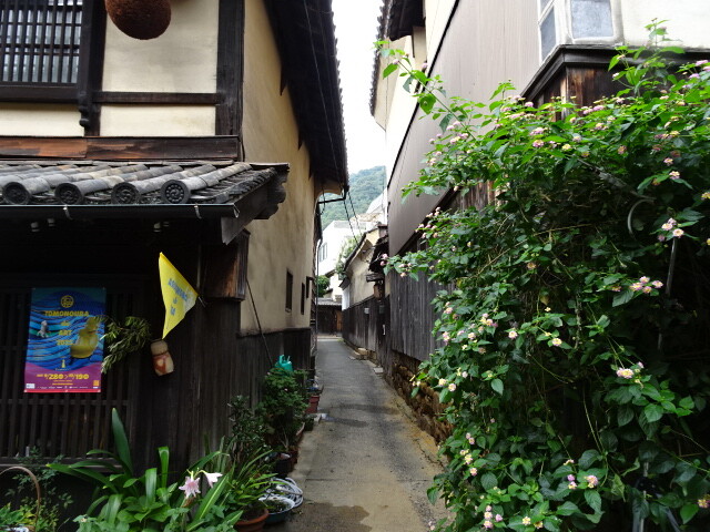 小路 (1)