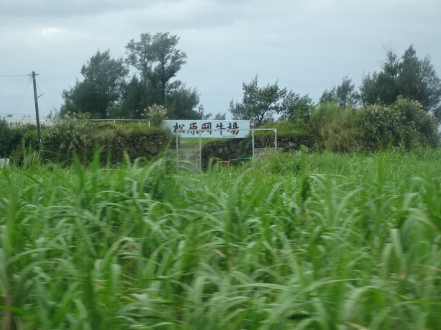 闘牛場