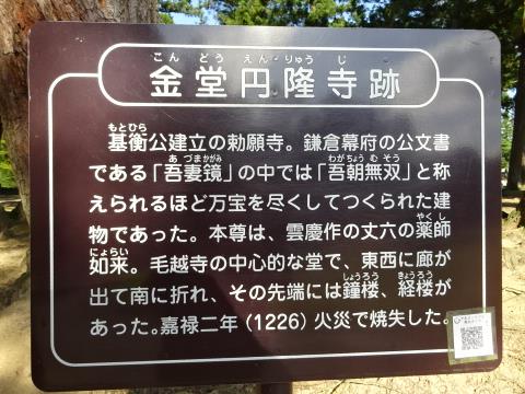 イメージ 6