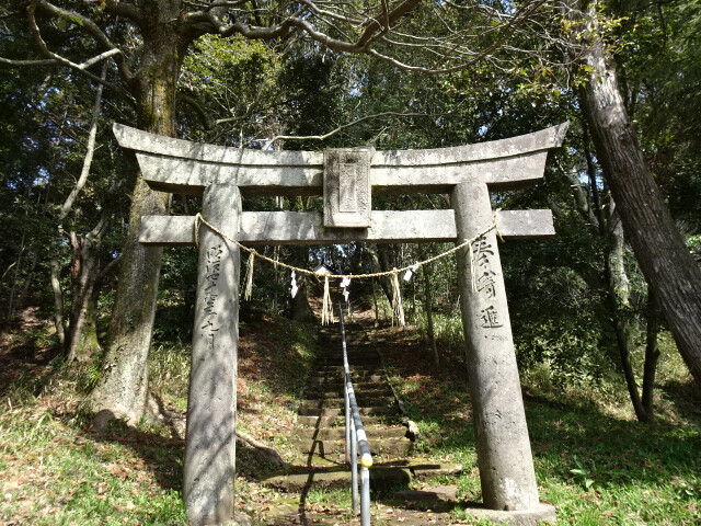 古墳に登れる