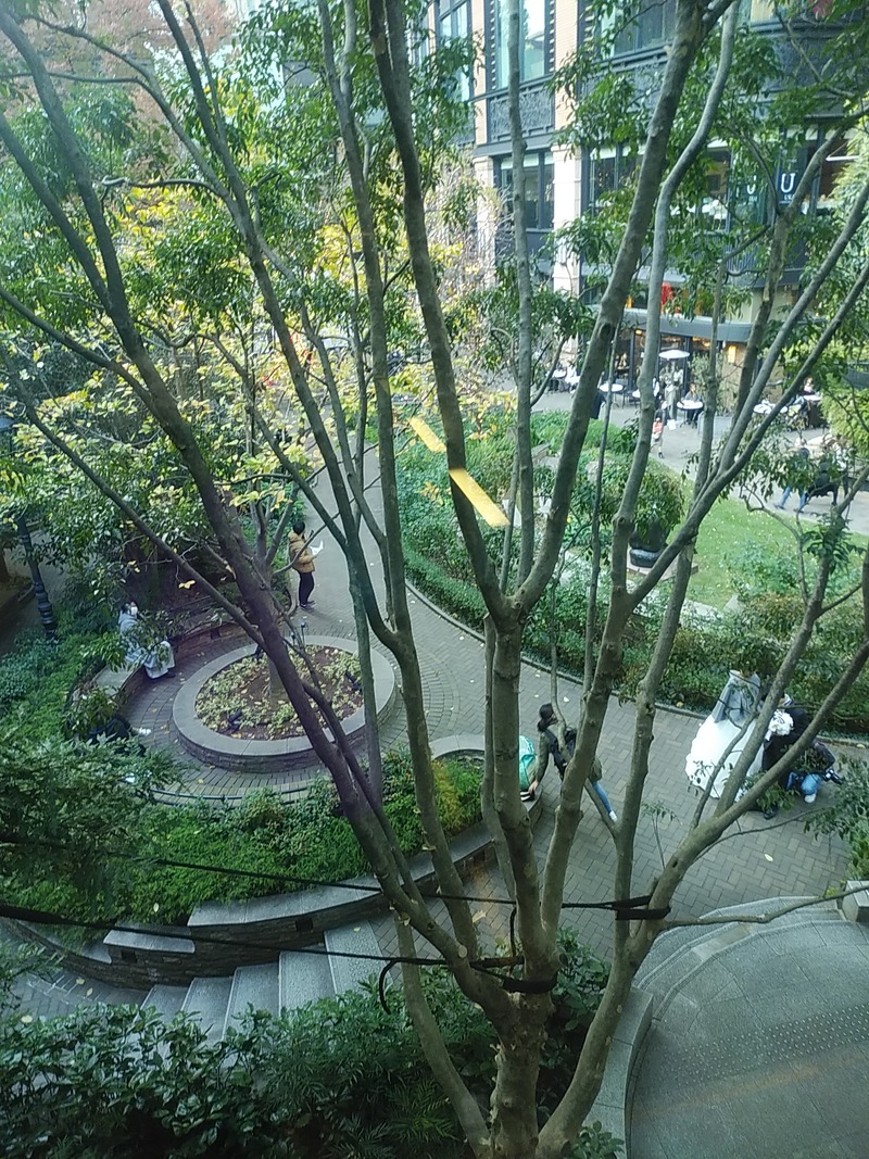 DSC_0707