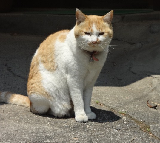 イメージ 13
