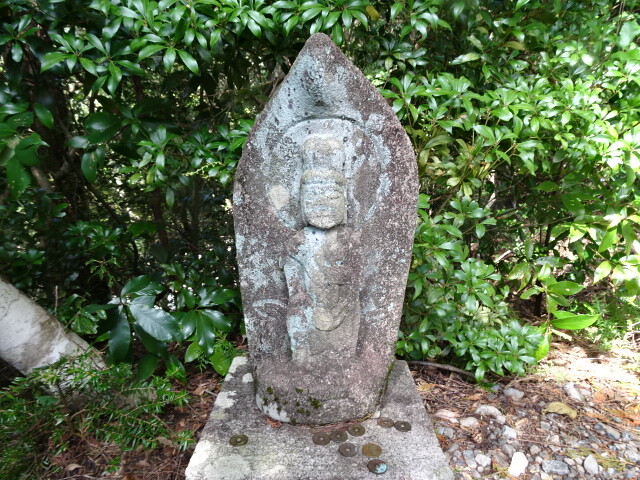 DSC00312