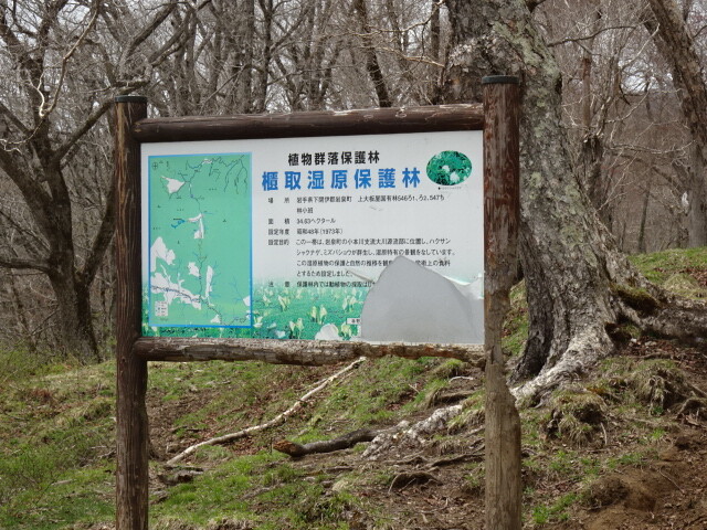 櫃取湿原