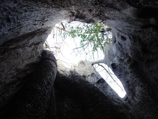 イメージ 12