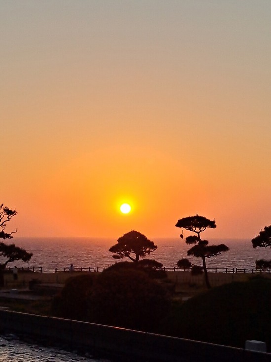 20260509_183253