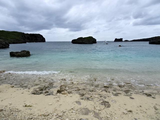 中の島ビーチサンゴが育っている
