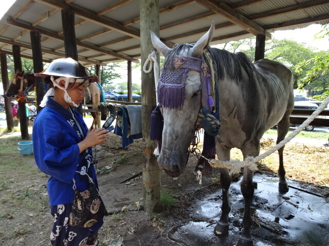 出番の終わった馬と少