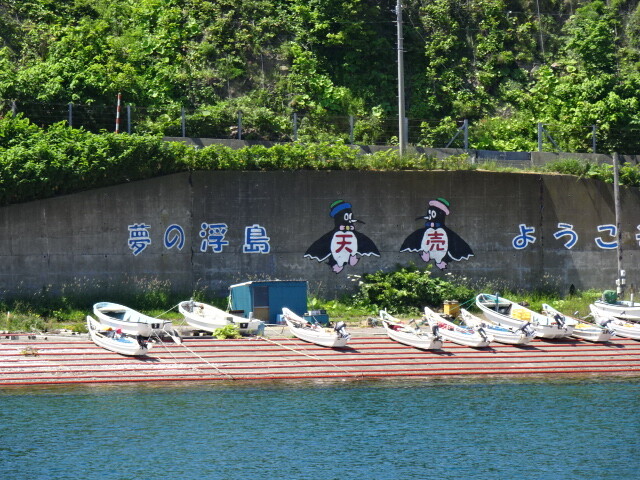 天売島へ