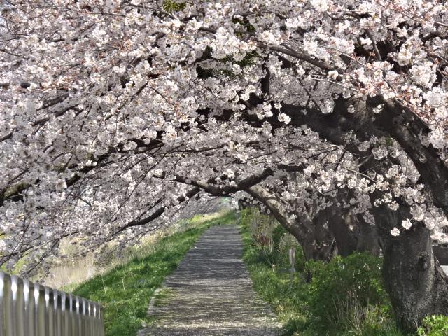 イメージ 8