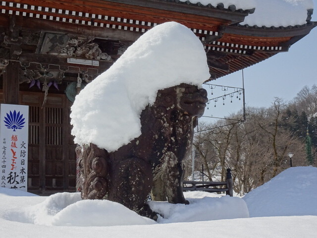 狛犬も綿帽子