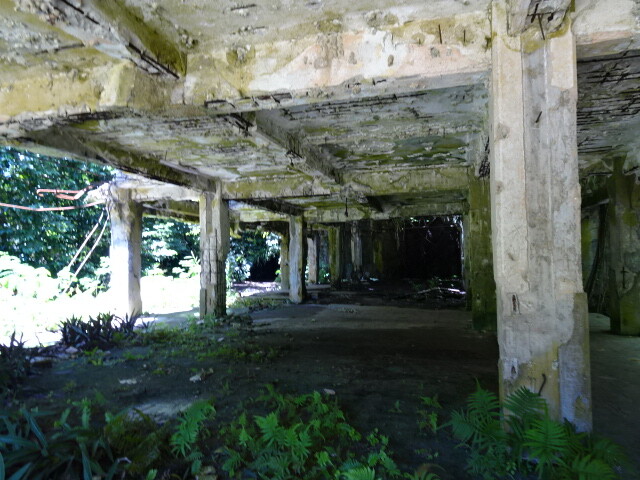 DSC03971