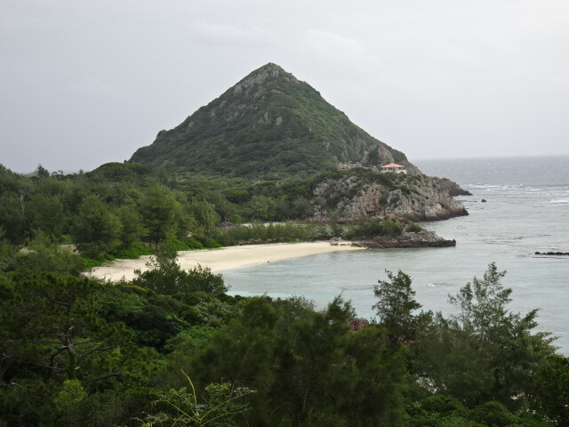 浜側から見た城跡