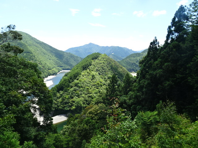嶋津の森を上から