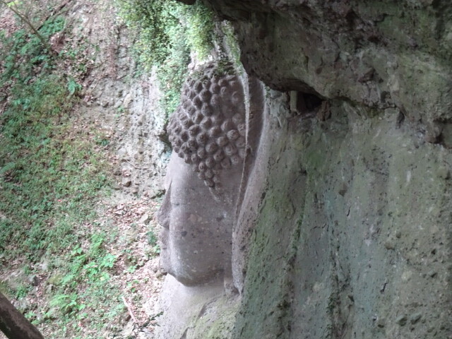 横から見た如来