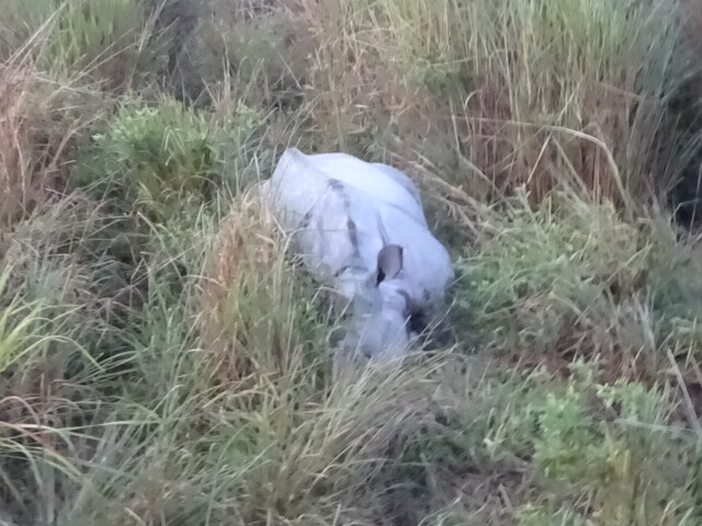 寝ている