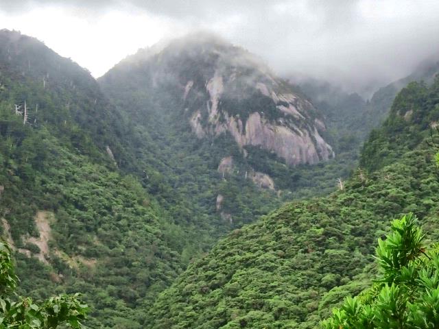 DSC06326