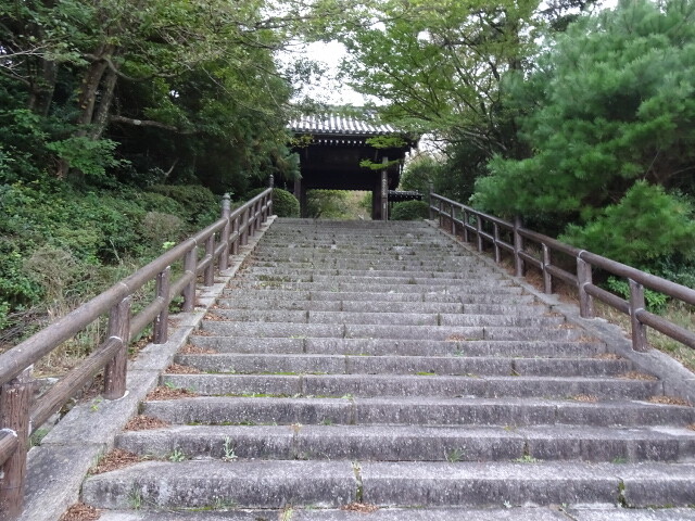 初日のゴール高山寺