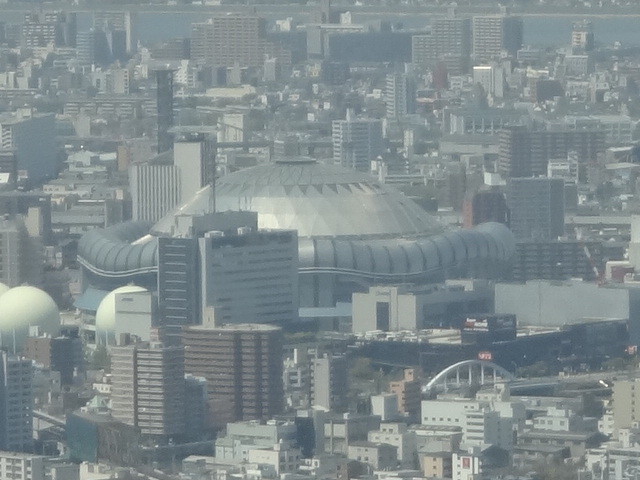 イメージ 5