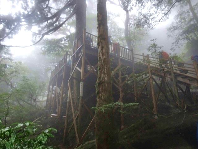 縄文杉の展望台